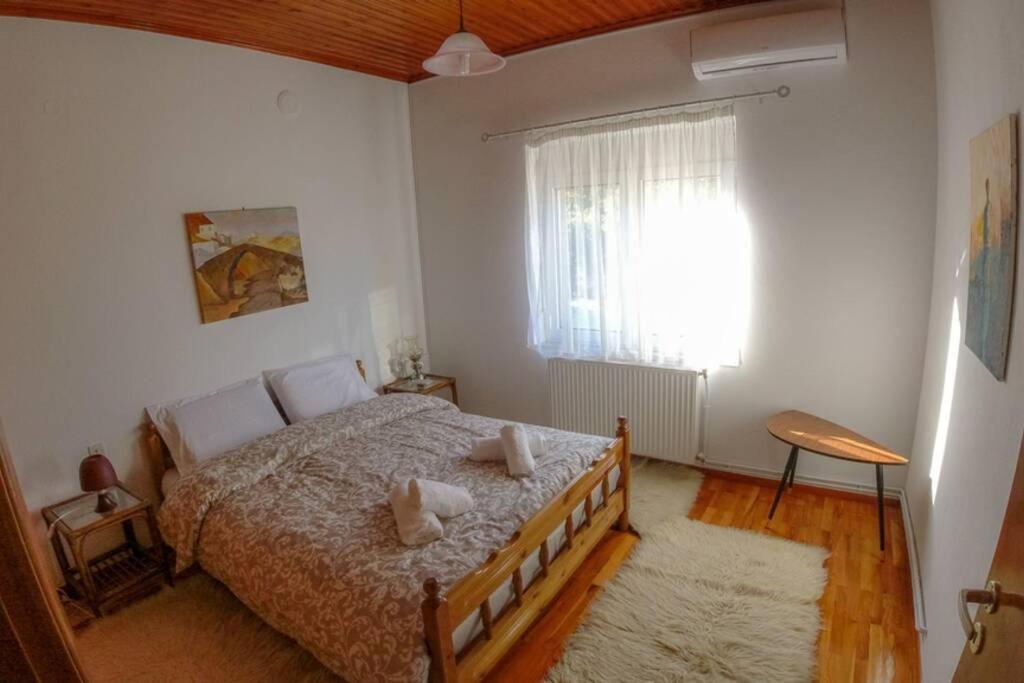 Breathtaking Lake View Cottage With A Fireplace Next To Ioannina City! Exterior photo